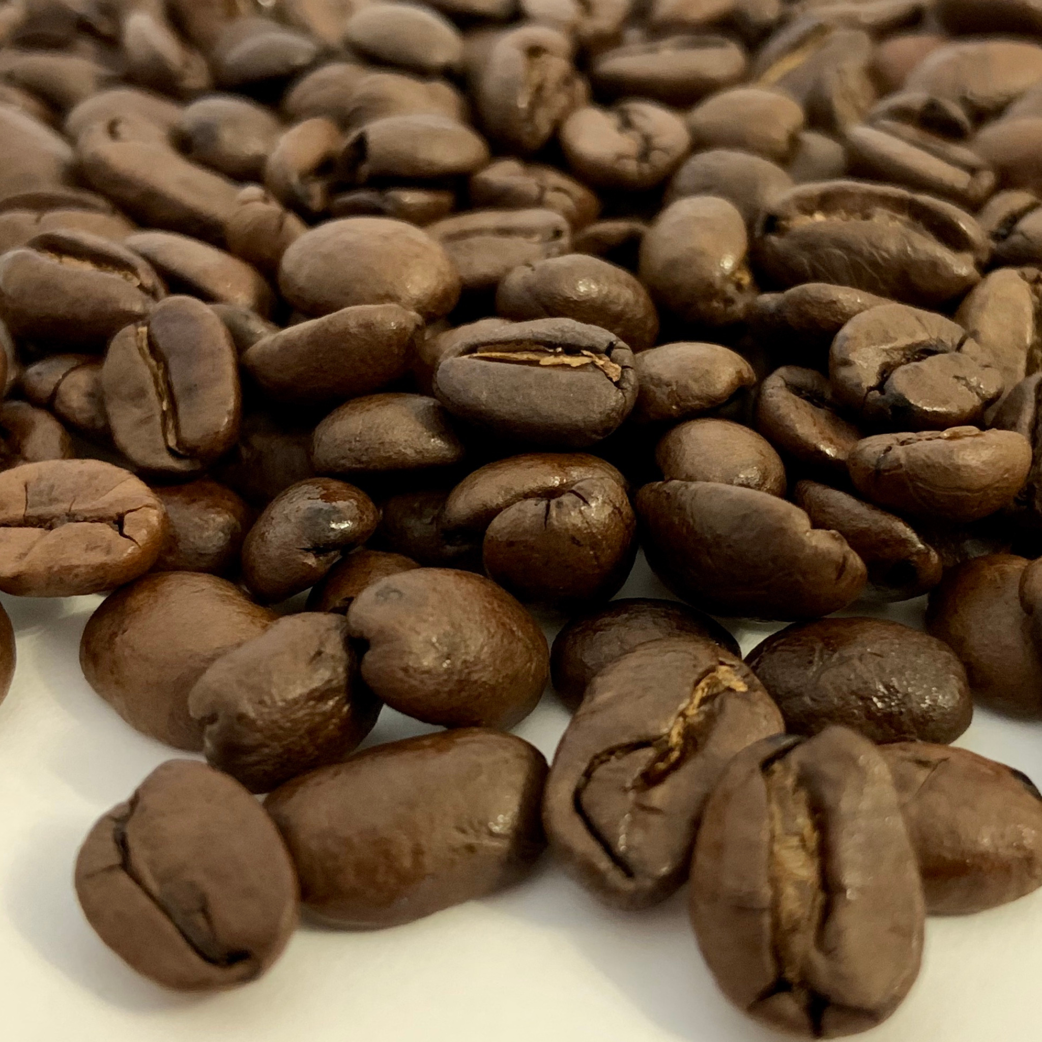 250g - Seasonal House Blend - Bennachie Coffee