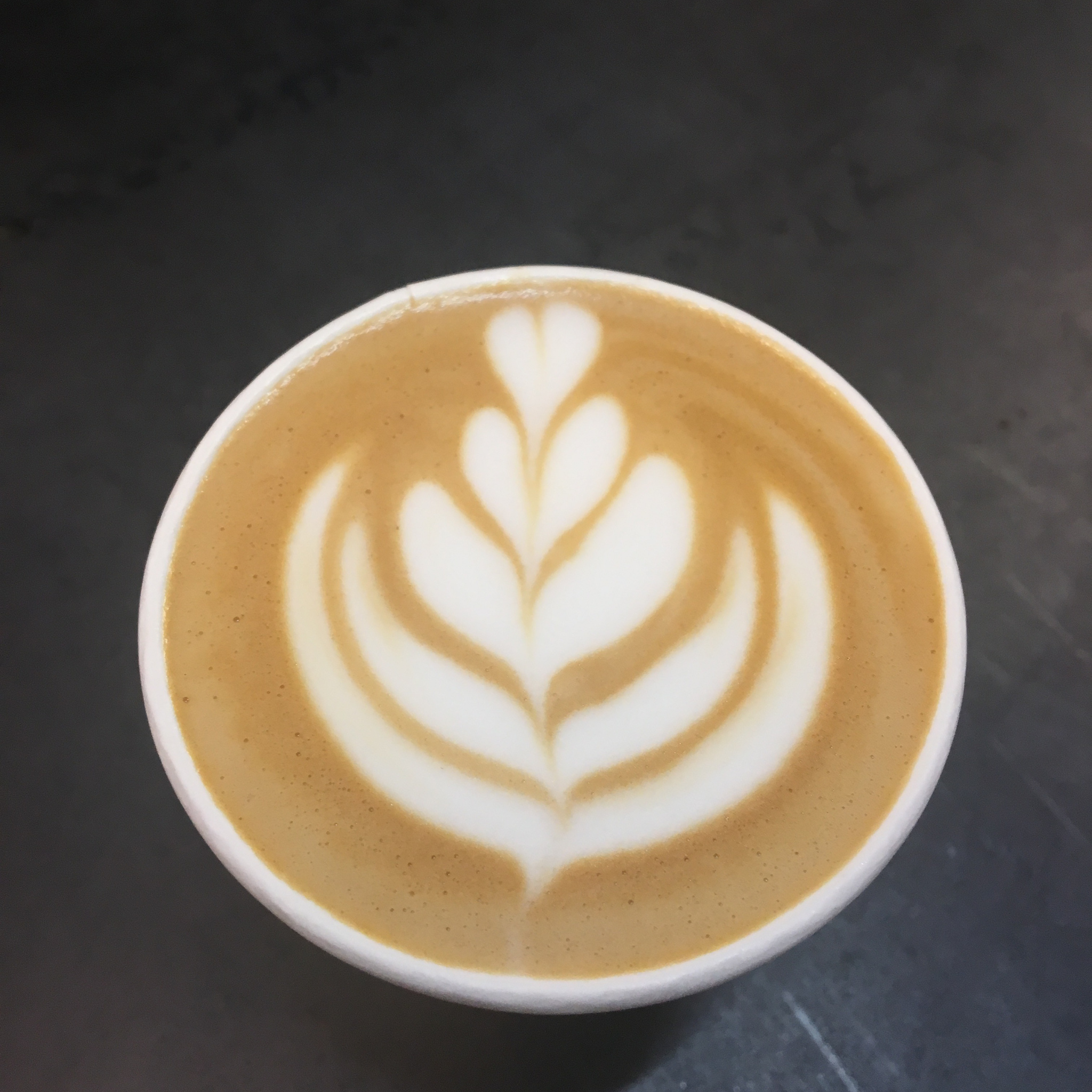 Case of 20x250g - Seasonal House Blend Coffee Beans - Bennachie Coffee