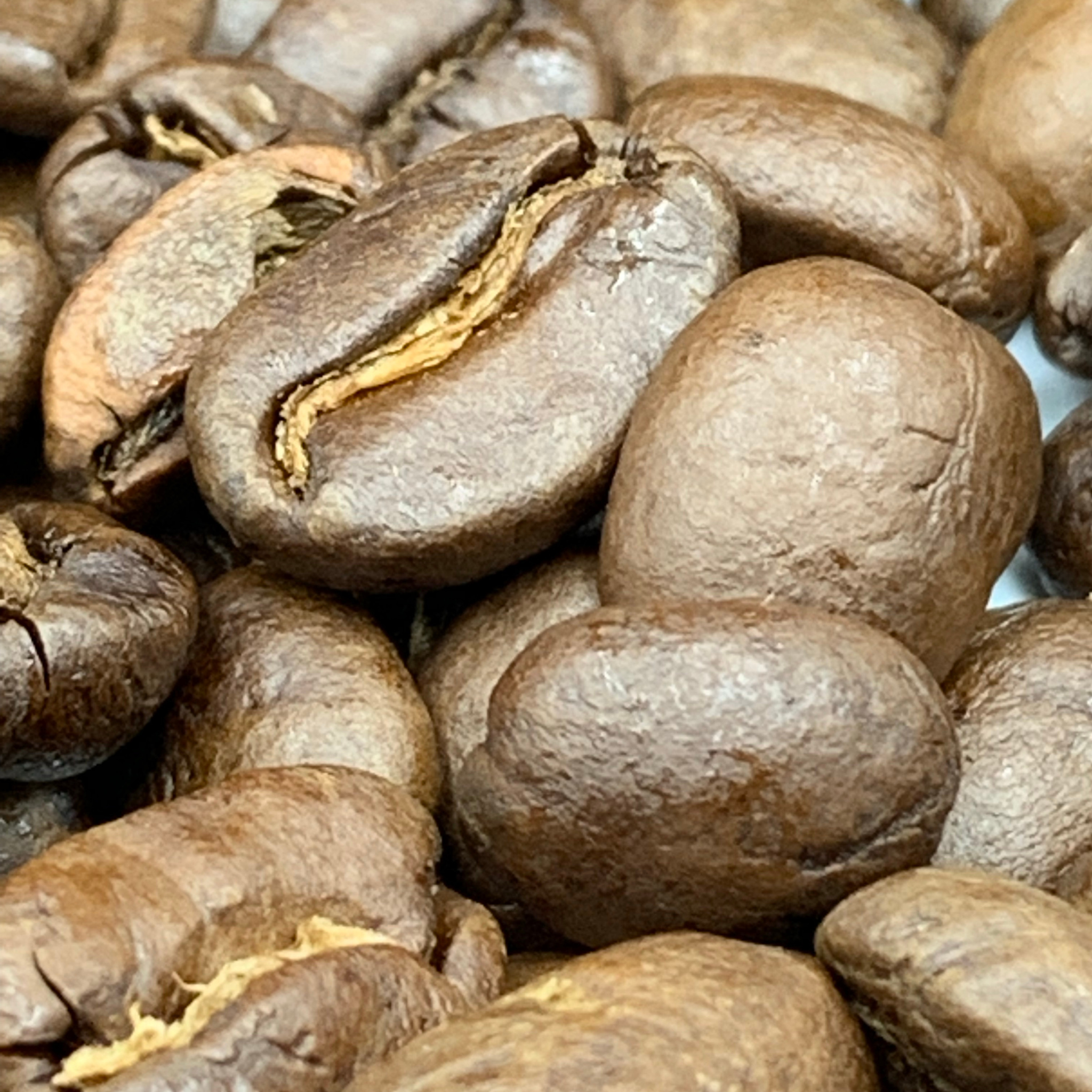 1kg - Highland Blend - Bennachie Coffee